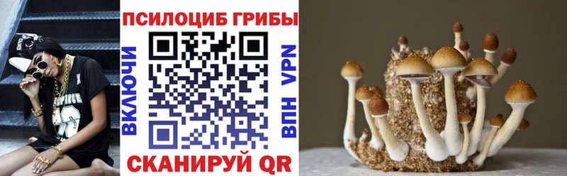 Псилоцибиновые грибы Psilocybine cubensis  наркота  Озёры 